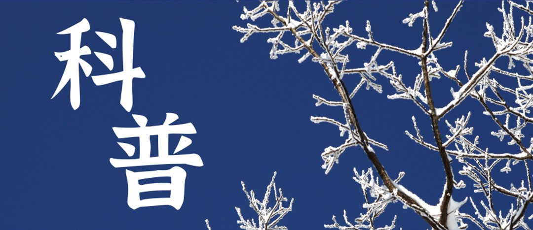 科普 | 冬季雨雪天氣?；愤\(yùn)輸車(chē)輛注意事項(xiàng)