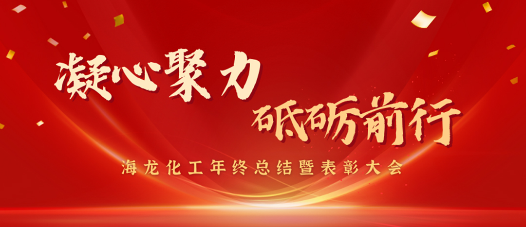 表彰 | 凝心聚力，砥礪前行，海龍化工年終總結(jié)暨表彰大會(huì)圓滿舉行